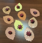 WhatsApp Image 2025-10-24 at 12.13.37